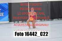 16442_C22