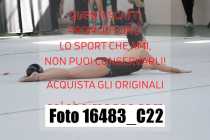 16483_C22
