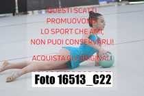 16513_C22