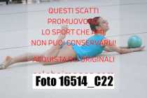 16514_C22
