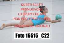 16515_C22