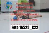16523_C22