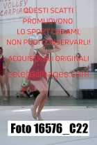 16576_C22