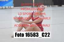 16583_C22