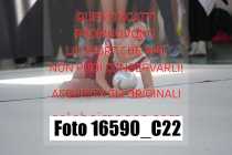 16590_C22