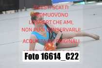 16614_C22