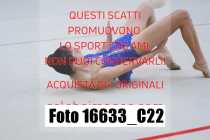 16633_C22