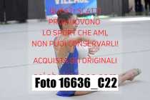 16636_C22