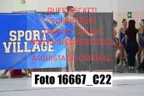 16667_C22