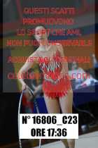16806_C23