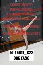 16811_C23