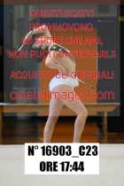 16903_C23
