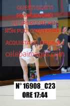 16908_C23