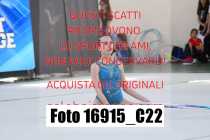 16915_C22
