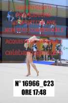 16966_C23