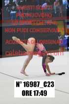 16987_C23