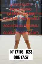 17116_C23