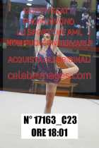 17163_C23