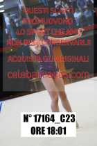 17164_C23