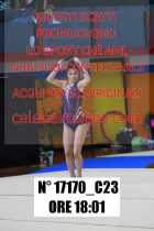17170_C23