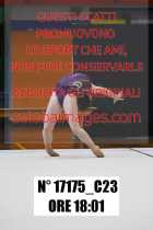 17175_C23