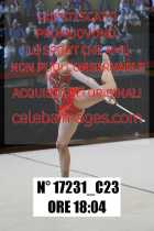 17231_C23