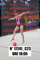 17241_C23