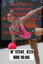 17247_C23