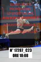 17287_C23
