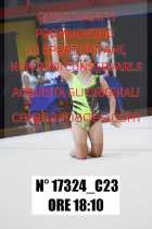 17324_C23
