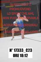 17333_C23