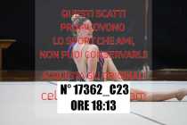 17362_C23