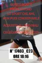 17403_C23