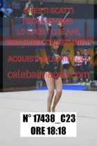 17438_C23