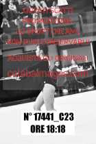 17441_C23