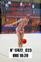 17472_C23