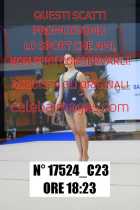 17524_C23
