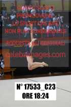 17533_C23