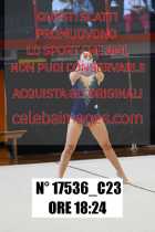 17536_C23