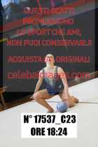 17537_C23