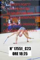 17551_C23