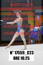 17559_C23