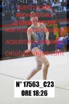 17563_C23