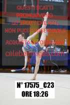 17575_C23