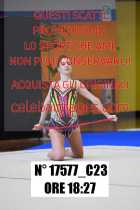 17577_C23