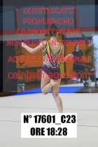 17601_C23