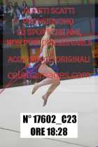 17602_C23
