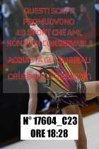 17604_C23