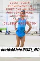 07901_M17-