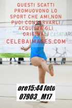 07903_M17-